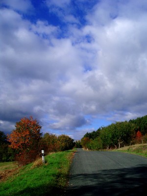 cesta