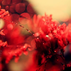 100389ff42d0aa58218f793ff5ee52